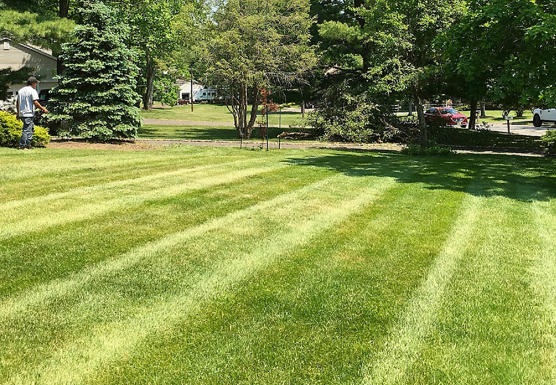Fertilizer & Lawn Care