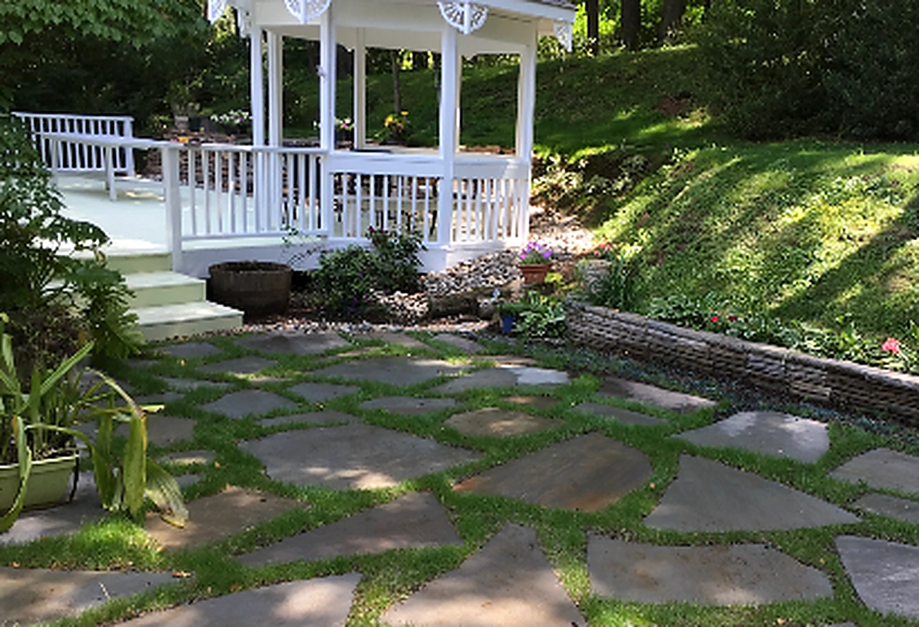 Natural Pathways